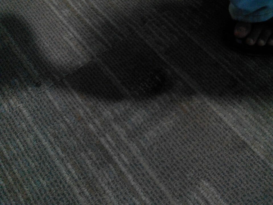Cuci Karpet Kantor PT Pertamina Tahap 1 21 cuci karpet kantor pt pertamina tahap 1 gambar 21