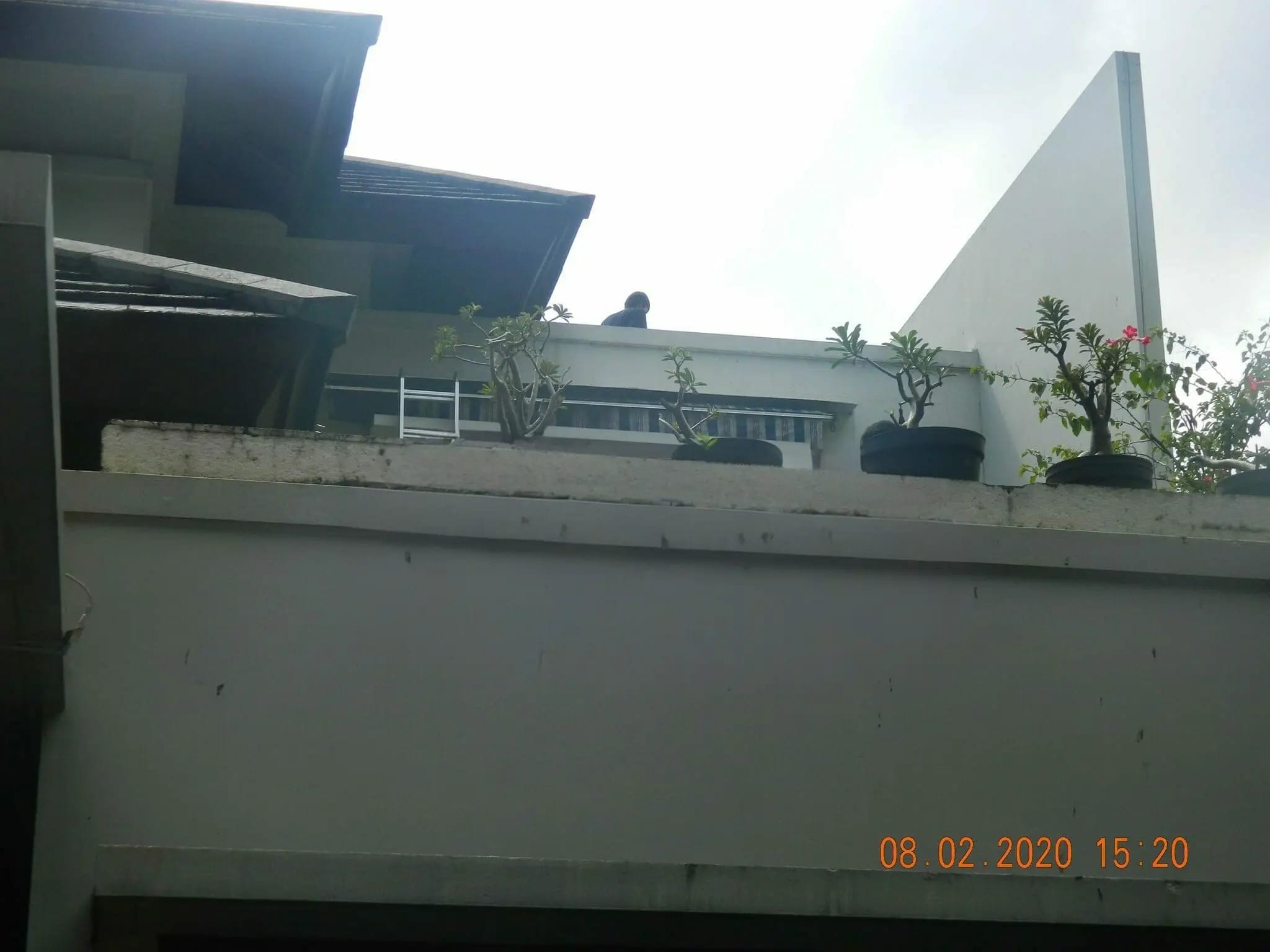 cuci kanopi awning 21