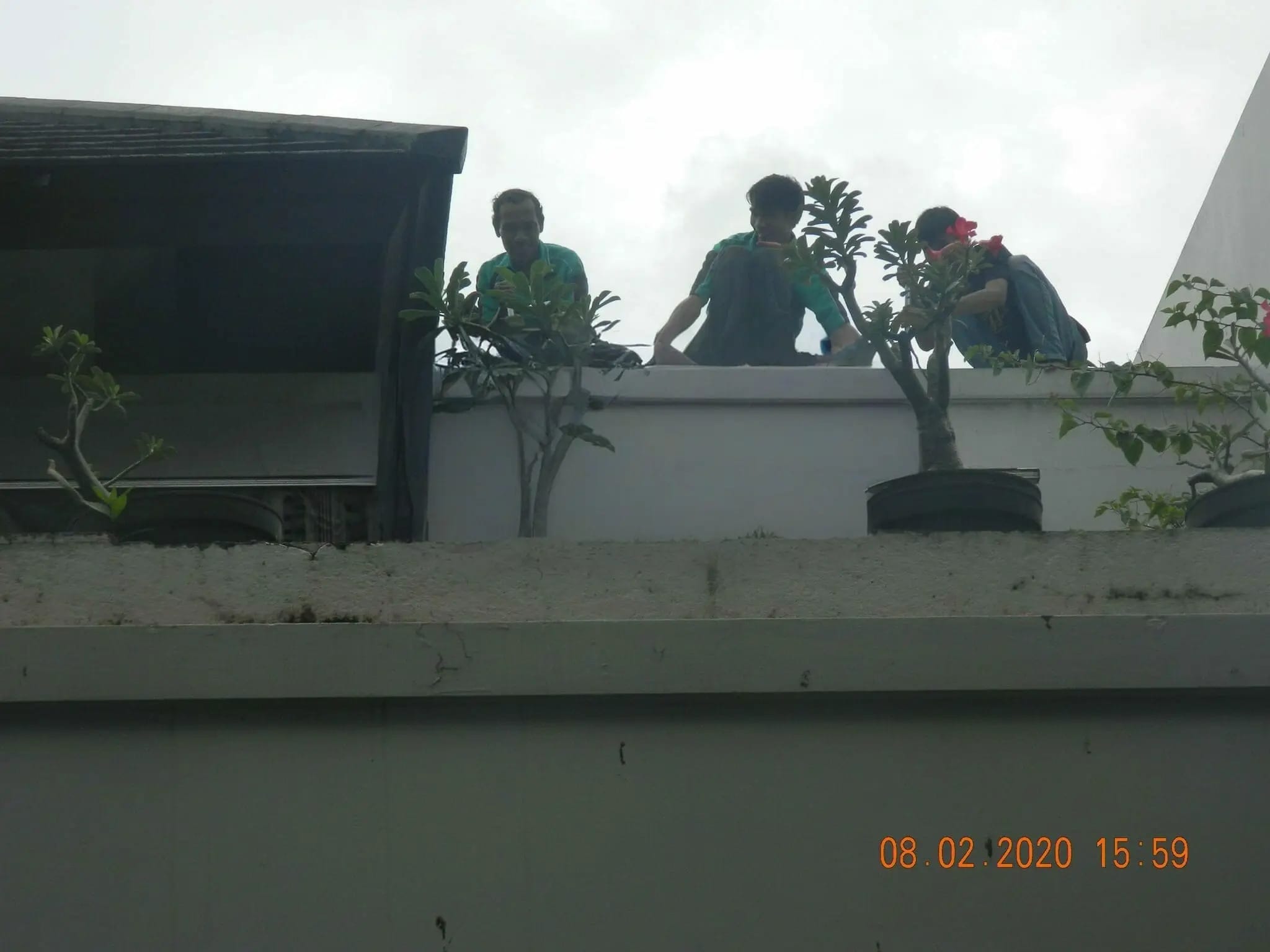 cuci kanopi awning 30